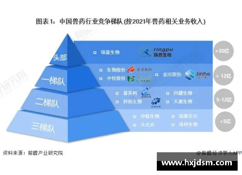 利博集团评价体系：聚焦球员表现的全面分析