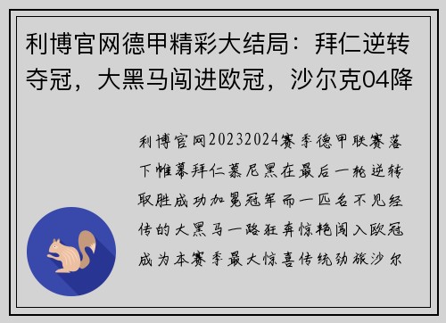 利博官网德甲精彩大结局：拜仁逆转夺冠，大黑马闯进欧冠，沙尔克04降级！ - 副本